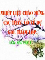 tiết 98-Hành động nói