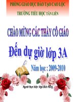 Tiền Việt Nam tuần 30