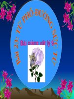 bài 23: từ phổ đừong sức từ