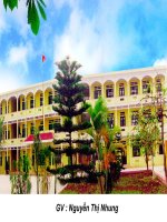 voi vang- xuan dieu cuc hay