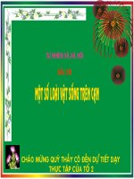 Một số là vật sống trên cạn.