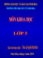 su sinh san va nuoi con cua chim