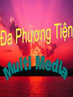 Đa phương tiện