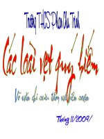 PHIM TU LIỆU SINH HỌC 7