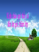 Tia phan giac cua 1 goc.