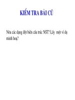 Bài 6 đột biến số lượng NST