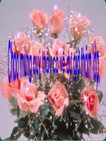 vi bay gio me moi ve