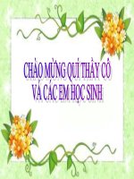 Bài 55: Tiến hóa về sinh sản (sửa)