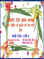 Ôn luyện về dấu chấm câu