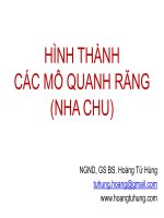 Bài giảng Hình thành các mô quanh răng (nha chu)