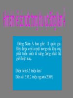 bai 12 dong nam a tiet1