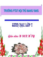 Tiến hóa về tổ chức cơ thể (TG)