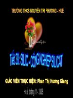 SILICAT đạt giải tỉnh T-T-Huế 2008-2009  của hai tác giả