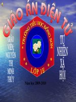 CON MEO (GA CHUYEN DE)