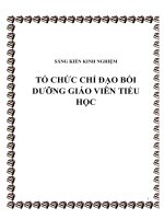 tổ chức chỉ đạo bồi dưỡng giáo viên tiểu học