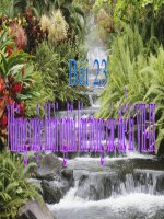 bài 23 Lịch sử 6. TQT