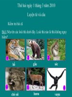 Mở rộng vốn từ: từ ngữ về loài thú. Dấu chấm, dấu phẩy