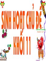 Đấu trường khối 11