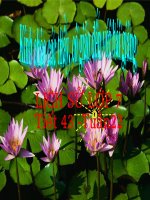 bài 212: ôn tập chương IV