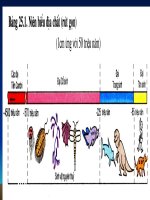 lich su phat trien tu nhien VN