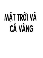 Mặt trời và cá vàng