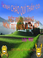 TNXH1-Hoạt động ở lớp