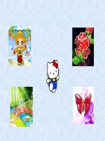 hinh dong trang tri bai giang2