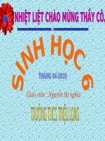 vai trò thự vật