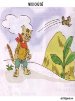 TRANH DAY TĐ 2: MƯU CHÚ SẺ