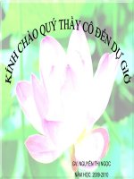 Bai 6- Don chat va hop chat - phan tu - Hoa 8-ngoc