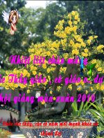 Phep tru` pham vi 100