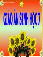 Bài 58. Đa dạng sinh học (tiếp theo)