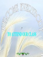 tieng anh 8 unit 14 lesson 2 speak