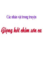 LQVH. giong hot chim son ca