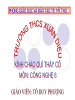 Bai 11TRANG TRI NHA O BANG MOT SO DO VAT