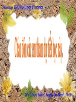 CÂU TRẦN THUẬT ĐƠN KHÔNG CÓ TỪ LÀ