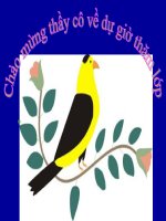 Sự Sinh Sản Của Ếch