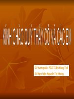 cach mang tu san phap