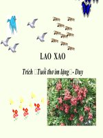 Lao xao( t1)