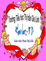 Sự sinh sản và nuôi con chim của chim.