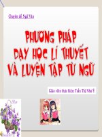 CHUYEN DE DAY HOC TIENG VIET