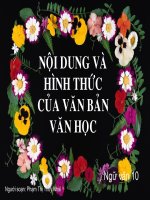 Nội dung và hình thức của văn bản văn học