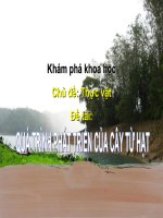 MTXQ: Vòng đòi phát triển của cây