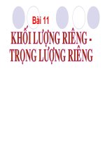 khoi luong rieng - trong luong rieng