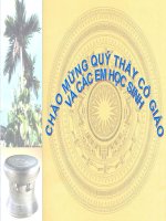 BÀI 24:XD VÀ PT VĂN HÓA DÂN TỘC