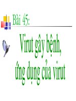 vi rut gay benh&ung dung cua vỉut