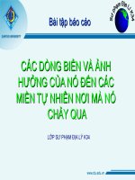 CÁC DONG HẢI LƯU TRÊN TRÁI ĐẤT