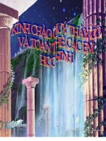 bai anh huong cua moi truong len su bieu hien cua gen