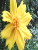 Tiết 61.BPT bậc nhất một ẩn (tiết 1)