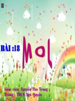 Bai 18:Mol